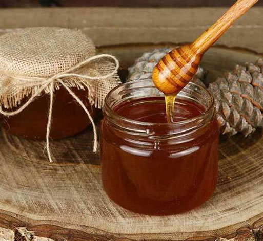 Çam Balı | Artvin Balı