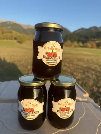 Artvin Balı - Bal Sever Mini - Kestane Balı 1455 gr