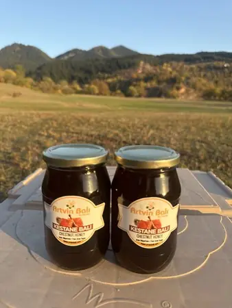 Artvin Balı - Hediyelik - Kestane Balı 970 gr