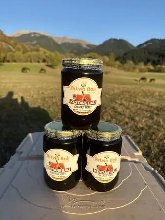 Artvin Balı - Bal Sever - Kestane Balı 2850 gr
