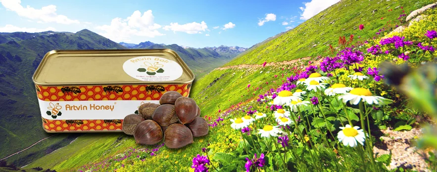 Artvin Balı - Kaçkar Dağları'ndan doğal bal