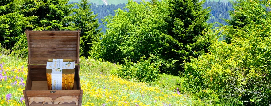 Artvin Balı - Kaçkar Dağları'ndan doğal bal